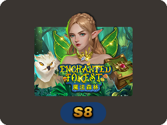 Enchanted Forest