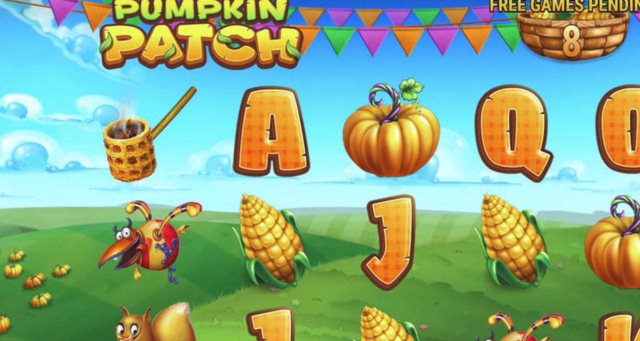 Pumpkin Patch · Giao diện ứng dụng S8