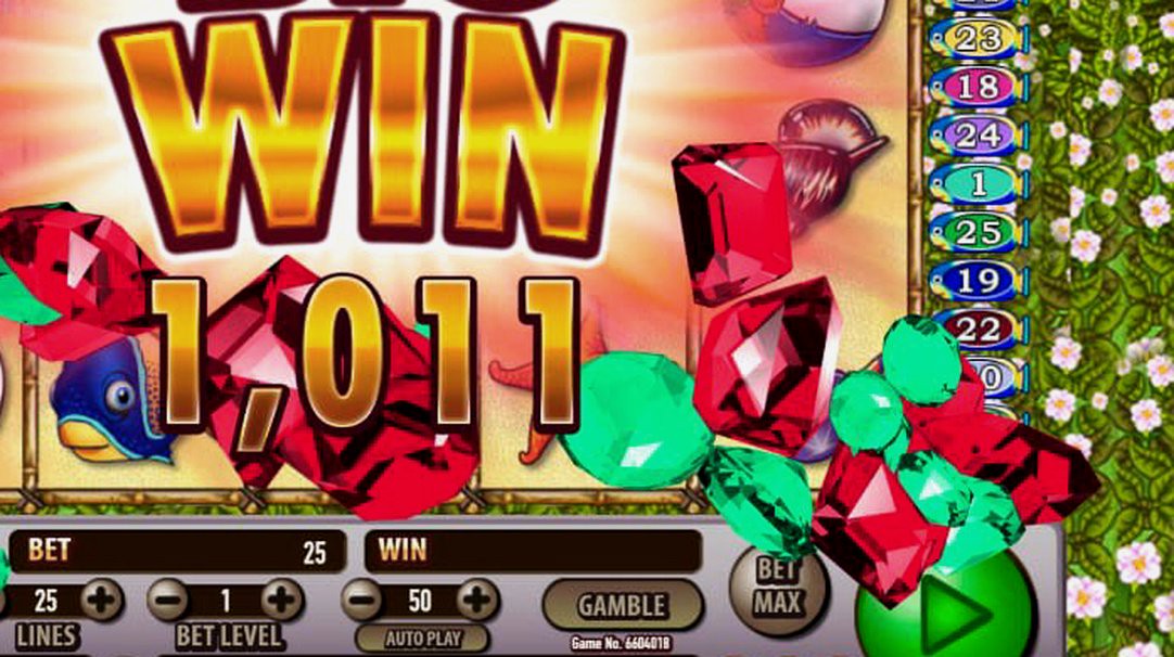 Bikini Island · Giao diện ứng dụng S8